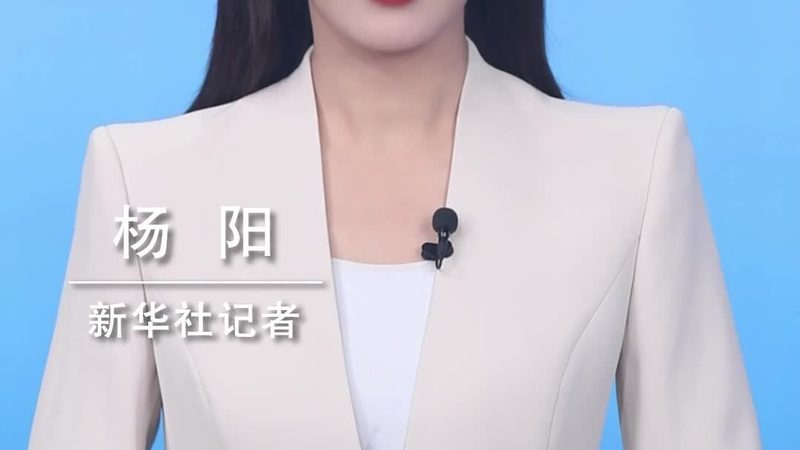 制造业数字化转型的关键要素：如何选择合适的解决方案