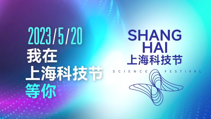 容器编排网络配置安装步骤详解**